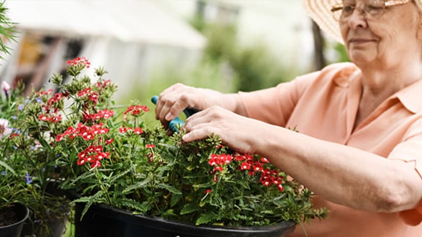 Applying The Montessori Method In The Daily Activities Of The Elderly